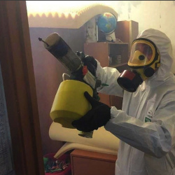 Уничтожение клопов в квартире. Томари